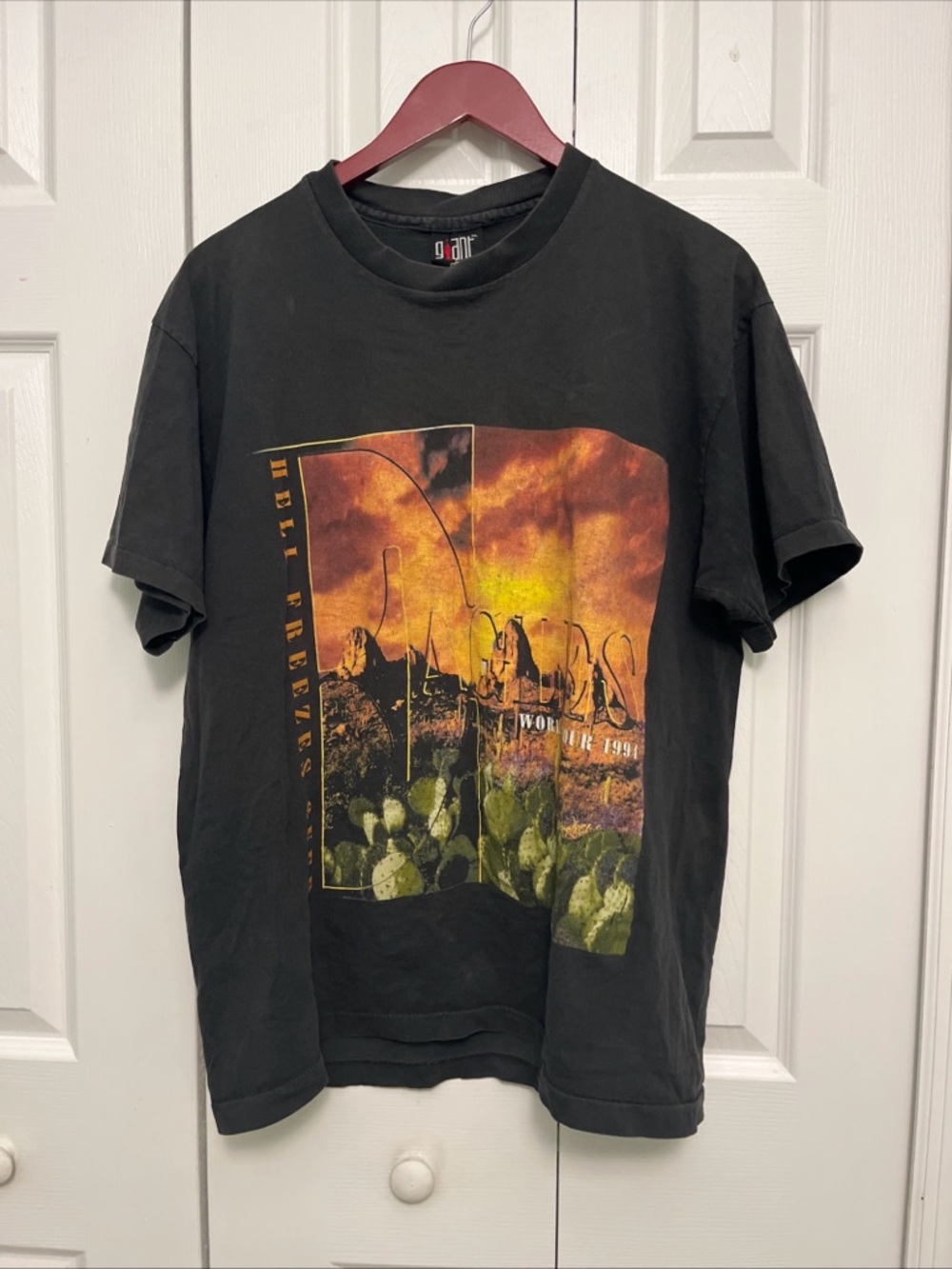 Eagles Vintage Black Graphic Short-Sleeve Tee with Desert Print